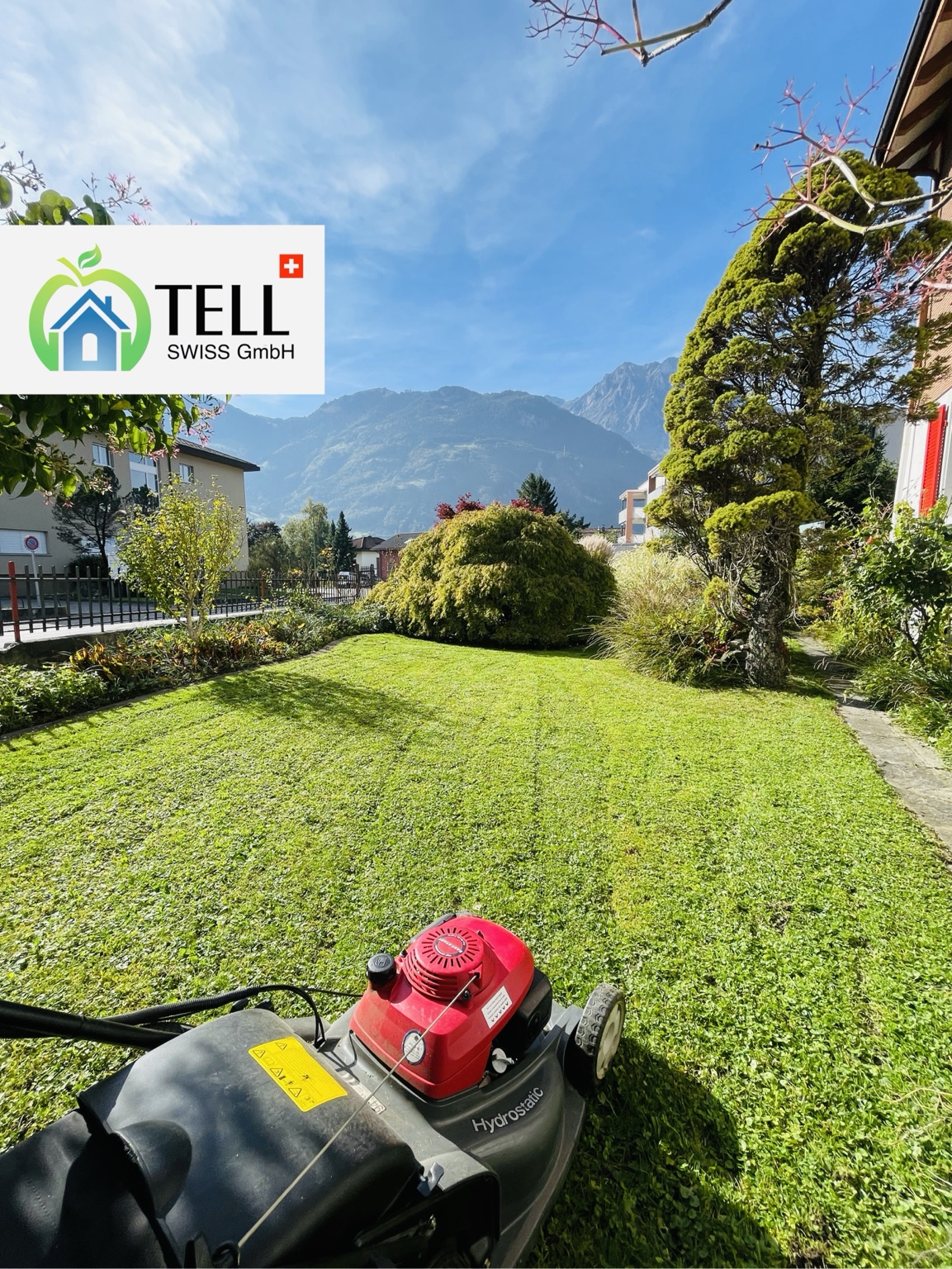 Tell Swiss beim Rasenmähen in einem gepflegten Garten mit Bergpanorama