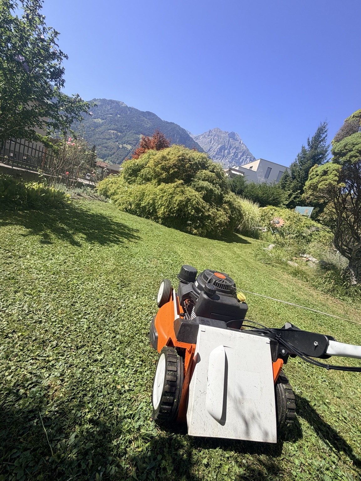 Rasenmäher in einem gepflegten Garten mit Sträuchern und Bergpanorama